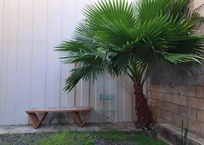 Honu Waikiki By AlohHostel